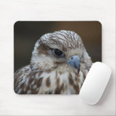 Falco cherrug Portrait Mousepad (Mit Mouse)
