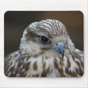 Falco cherrug Portrait Mousepad