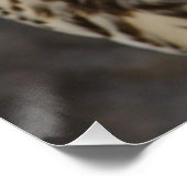 Falco cherrug poster (Ecke)