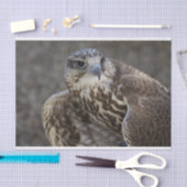 Falco cherrug seidenpapier (Handwerk)