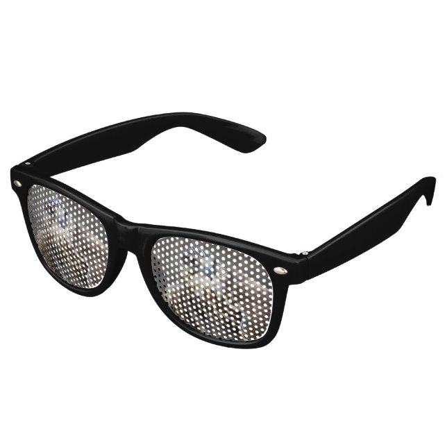 Falco cherrug sonnenbrille (Schrägansicht)