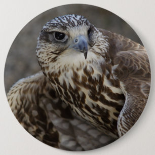 Falco-Kirsche Button