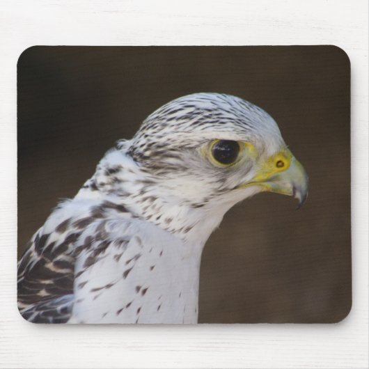 Falco rusticolus mousepad (Vorne)
