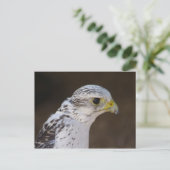 Falco rusticolus postkarte (Stehend Vorderseite)