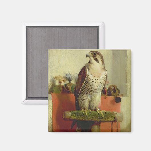 Falcon, 1837 magnet (Vorderseite/Rückseite)