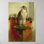 Falcon, 1837 poster (Vorne)