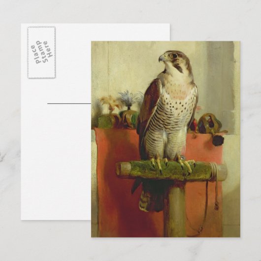 Falcon, 1837 postkarte (Vorne/Hinten)