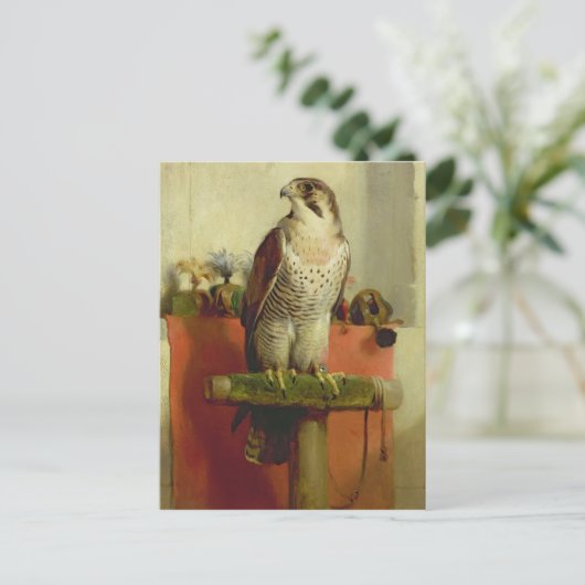 Falcon, 1837 postkarte (Stehend Vorderseite)