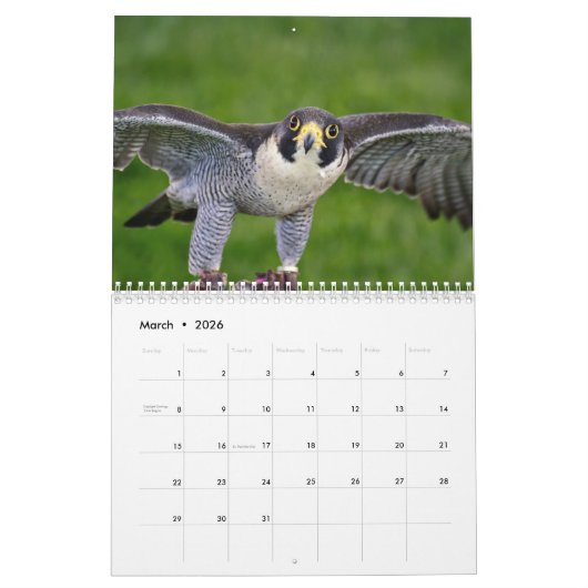 Falcon 2026 kalender (Mär 2026)