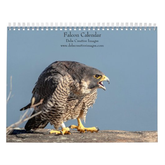 Falcon 2026 kalender (Titelbild)
