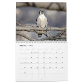 Falcon 2026 kalender (Feb 2027)