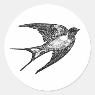 Falcon-Aufkleber in weißem Hintergrund Runder Aufkleber