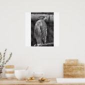 Falcon B/W Print Poster (Küche)