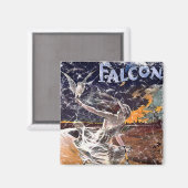Falcon Bicycle - bekümmert Magnet (Vorderseite/Rückseite)
