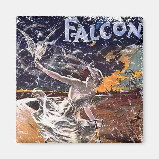 Falcon Bicycle - bekümmert Magnet (Vorne)
