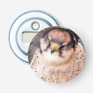 FALCON BIRD OF PREY FLASCHENÖFFNER