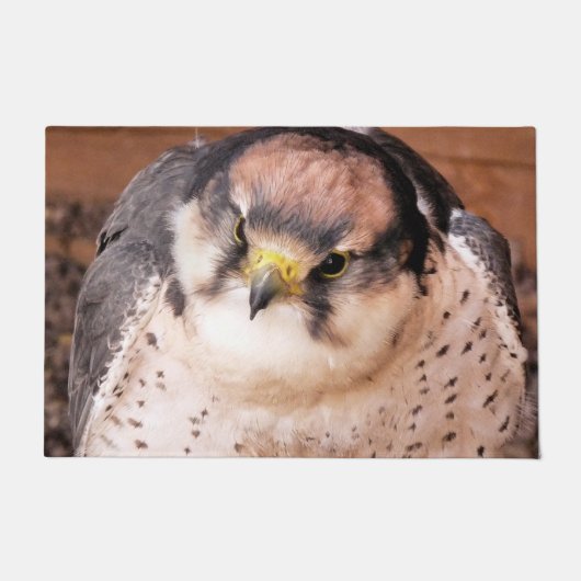 FALCON BIRD OF PREY FUßMATTE (Vorderseite)