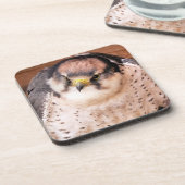 FALCON BIRD OF PREY GETRÄNKEUNTERSETZER (Linke Seite)