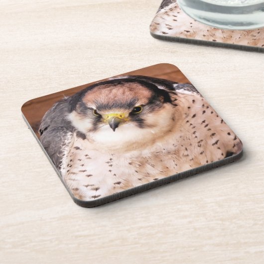 FALCON BIRD OF PREY GETRÄNKEUNTERSETZER (Linke Seite)