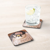 FALCON BIRD OF PREY GETRÄNKEUNTERSETZER (Rechte Seite)