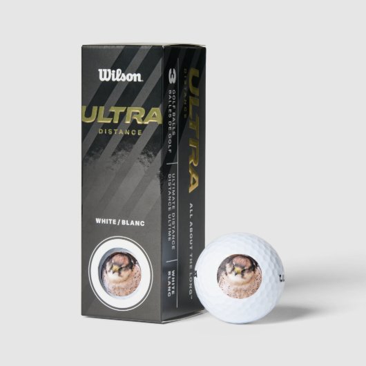 FALCON BIRD OF PREY GOLFBALL (Verpackungen)