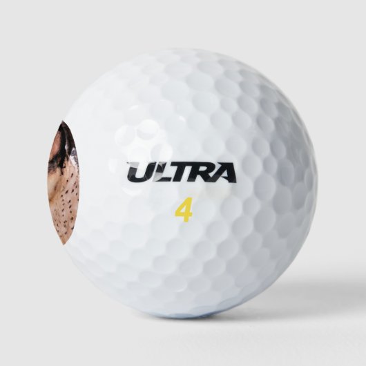 FALCON BIRD OF PREY GOLFBALL (Logo)