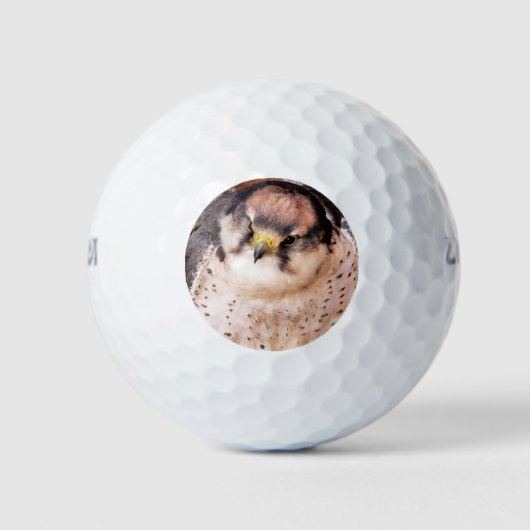 FALCON BIRD OF PREY GOLFBALL (Vorderseite)
