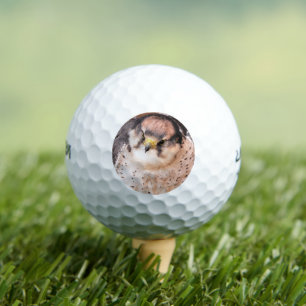 FALCON BIRD OF PREY GOLFBALL