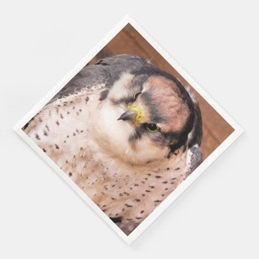 FALCON BIRD OF PREY SERVIETTE (Ecke)