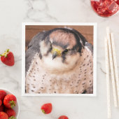 FALCON BIRD OF PREY SERVIETTE (Beispiel)