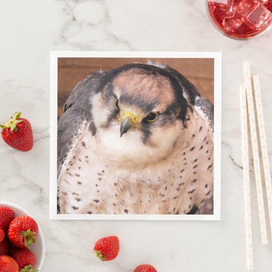 FALCON BIRD OF PREY SERVIETTE (Beispiel)