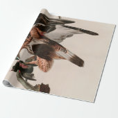 Falcon Birds of America Audubon Print Geschenkpapier (Ungerollt)