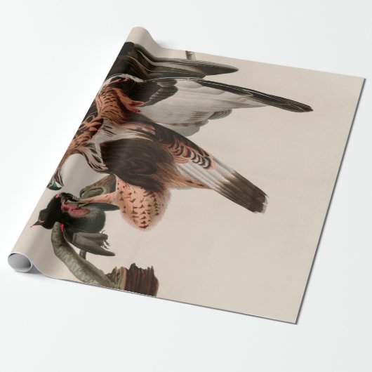 Falcon Birds of America Audubon Print Geschenkpapier (Ungerollt)