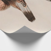 Falcon Birds of America Audubon Print Geschenkpapier (Ecke)