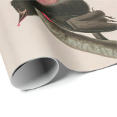 Falcon Birds of America Audubon Print Geschenkpapier (Rolleneckpunkt)