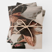 Falcon Birds of America Audubon Print Geschenkpapier Set (Beispiel)