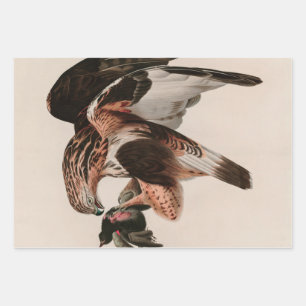 Falcon Birds of America Audubon Print Geschenkpapier Set