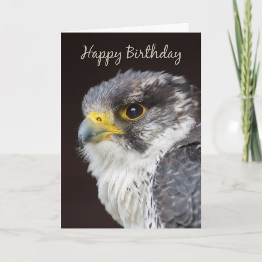 Falcon Birthday Grußkarte - Wilder Falcon Bird O Karte (Vorderseite)