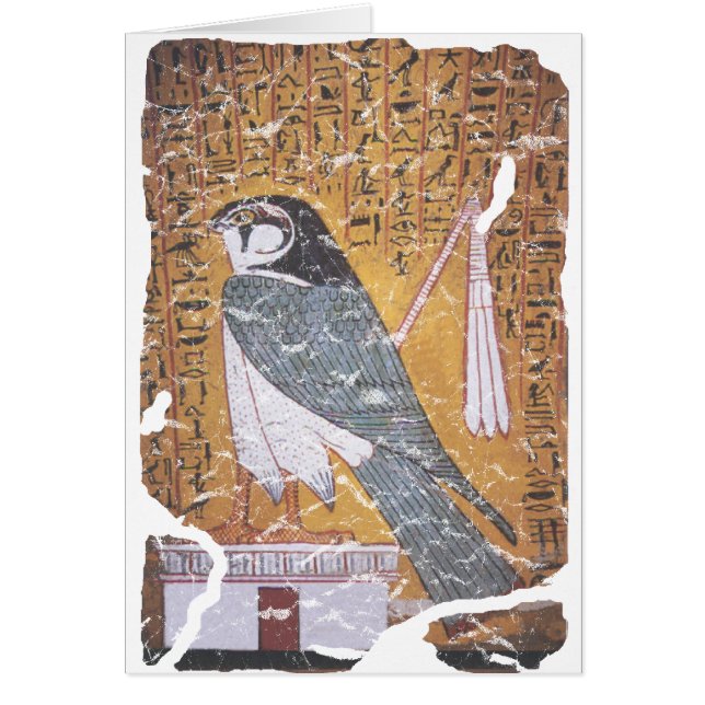 Falcon blass (Vorne)