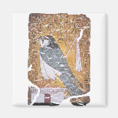 Falcon blass magnet (Vorne)