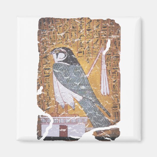 Falcon blass magnet (Vorne)