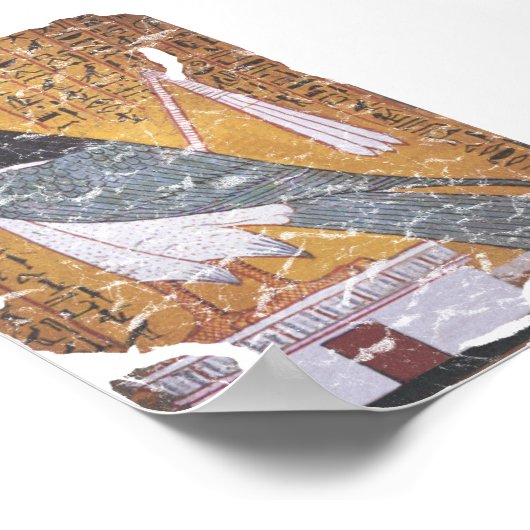 Falcon blass poster (Ecke)