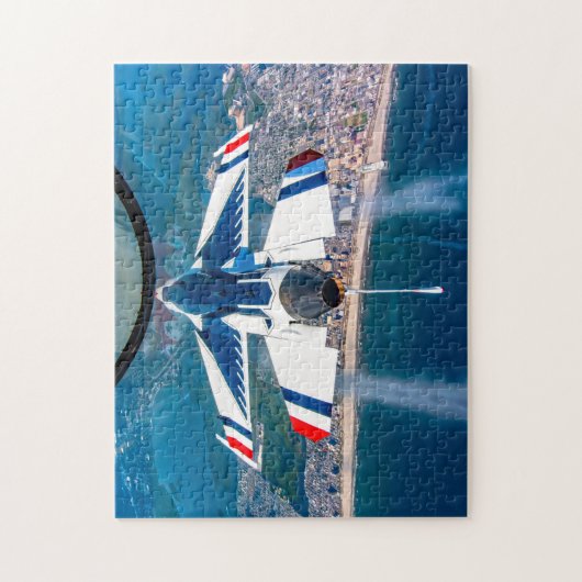 FALCON F-16C-BEKÄMPFUNG (11x14 INCH) Puzzle (Vertikal)