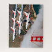 FALCON F-16C-BEKÄMPFUNG (16x20 INCH) Puzzle (Vertikal)