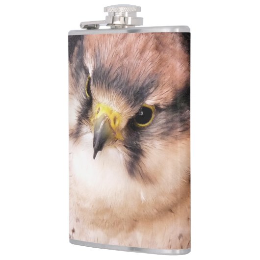 FALCON FLACHMANN (Links)