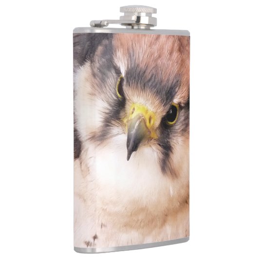 FALCON FLACHMANN (Rechts)