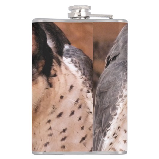 FALCON FLACHMANN (Rückseite)