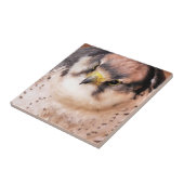 FALCON FLIESE (Seite)