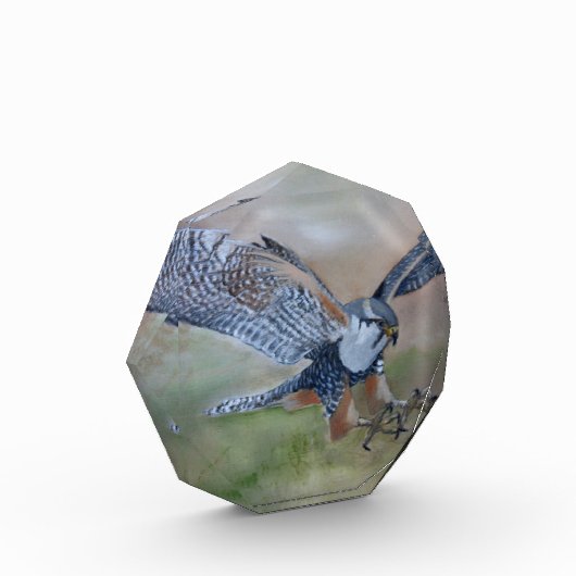 Falcon Foto Block (Links)