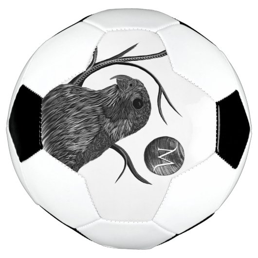 Falcon Full Moon Monogram Fußball (Gedreht)